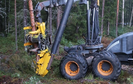 Pentti Poluksen kehittämällä Hakeharvesteri-konseptilla voidaan puita hakettaa ilman kaatamista suoraan jatkokuljetukseen.