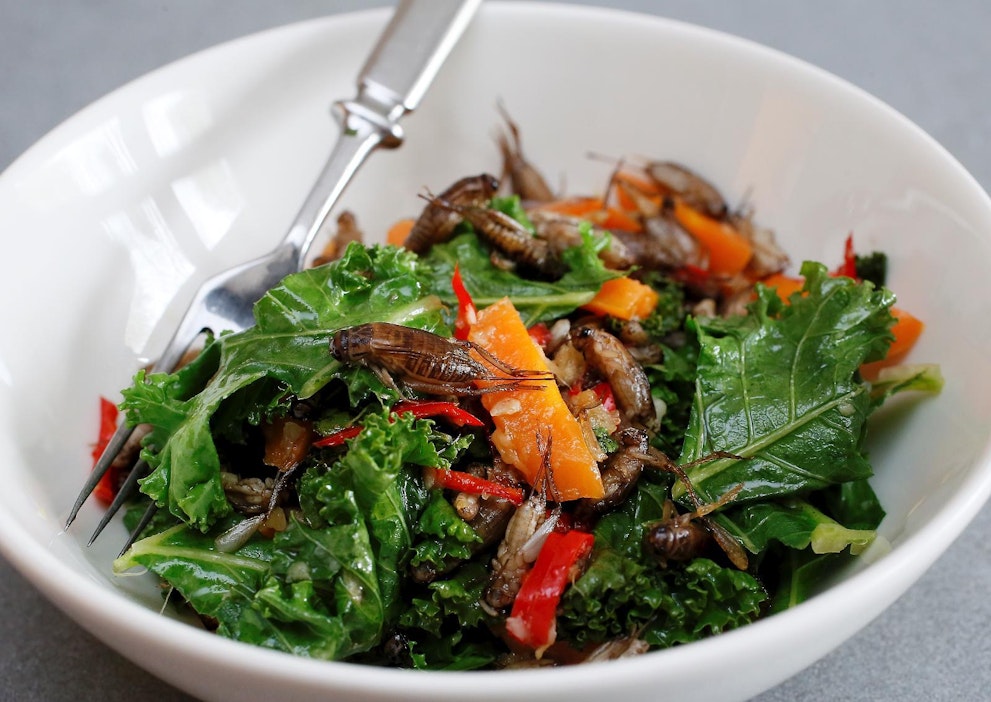 Wokattuja kotisirkkoja, hyvää ruokahalua!