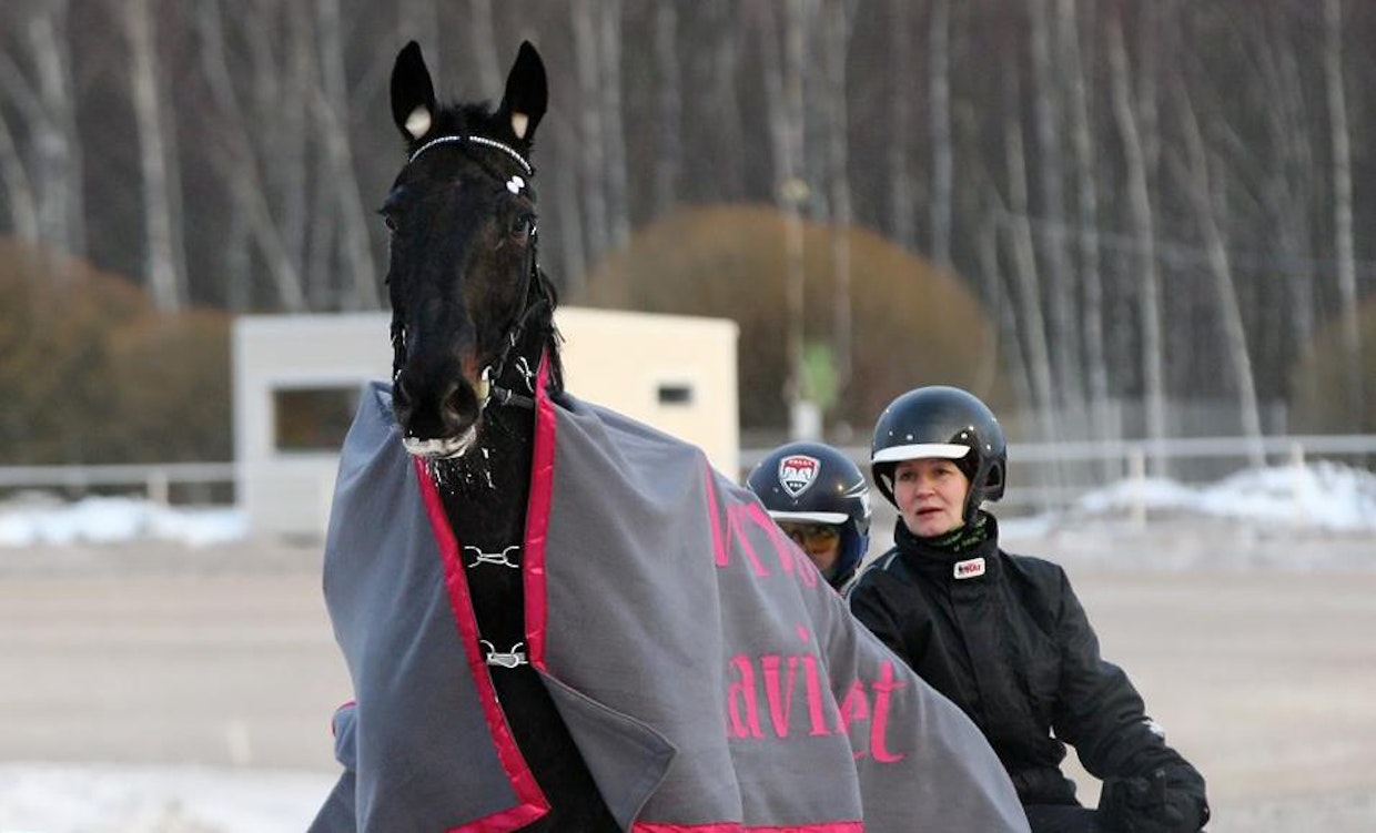 Jani Ruotsalaisen ajama Black Emperor leiskautti viimeisellä takasuoralla keulaan ja varmaan voittoon. Sanna Salonen valmentaa ja omistaa ruunaa, jonka kasvattaja on hänen edesmennyt isänsä Reijo Eskelinen. Kuva: Ville Toivonen