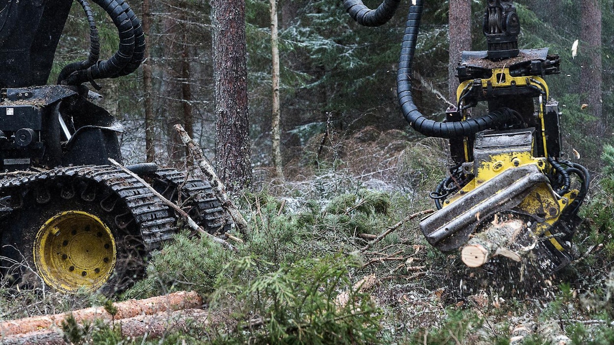 Katkonnan onnistuminen takaa puukaupan onnistumisen.