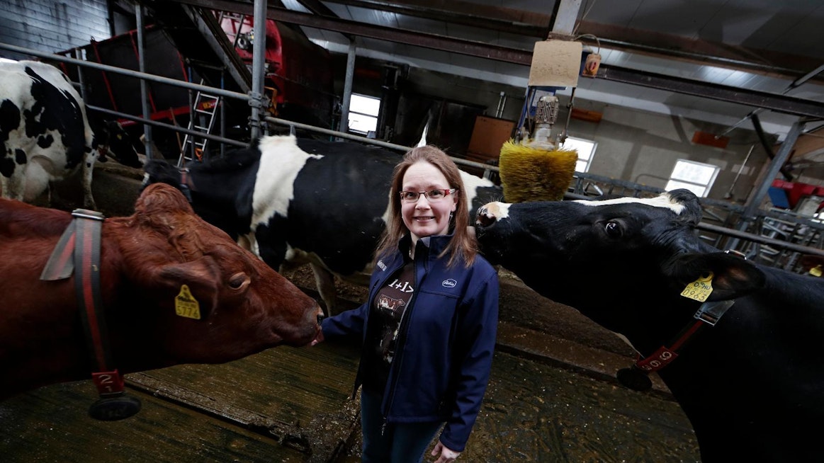 Välillä Heidi Hakkarainen on toivonut vuorokauteen lisää tunteja, sillä sekä maatalousyrittäjyys että kuntapolitiikka ovat aikaavievää hommaa. Lypsyrobotin ansiosta navetalla ei kuitenkaan tarvitse olla minuutintarkkaan.