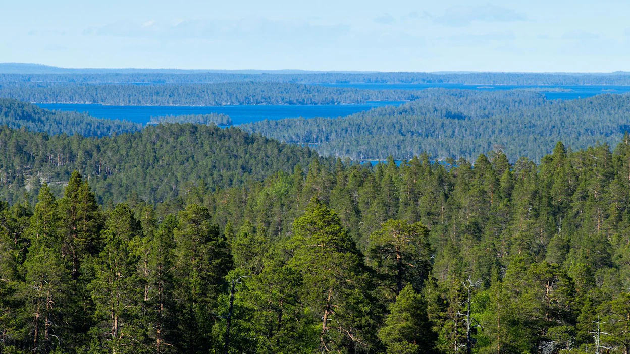 Kaupan jälkeen United Bankersille jää vielä kaksi metsään sijoittavaa pääomarahastoa sekä erikoissijoitusrahasto UB Metsä.