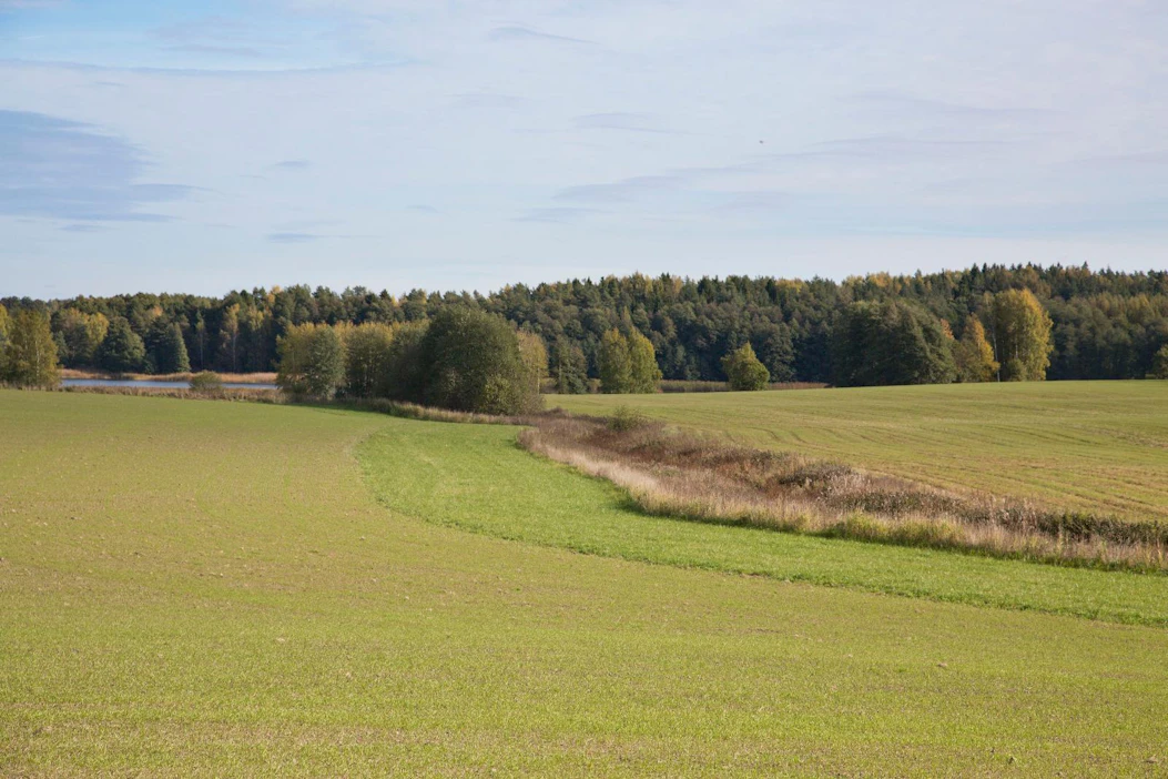 Maataloustukien saamisen ehtona on yhä enemmän ympäristönsuojelutoimia. Kuvassa suojakaista vesistön ja pellon välissä.