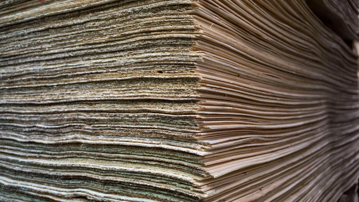 Rauten asiakkaat ovat puutuoteteollisuudessa toimivia yrityksiä, joiden valmistamia puutuotteita ovat viilu, vaneri, LVL (Laminated Veneer Lumber, viilupalkki) ja sahatavara.