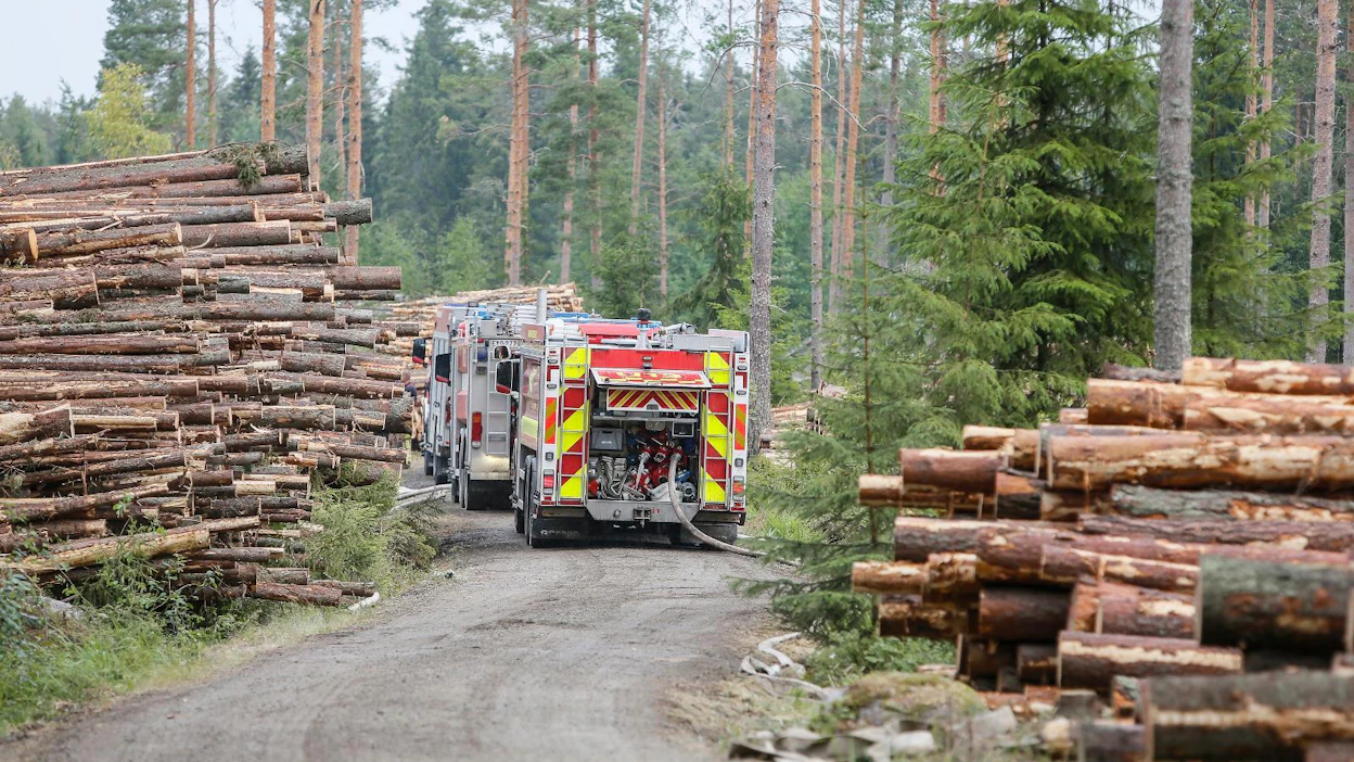 Suomi selvisi hellekesästä vähillä metsäpaloilla naapurimaiden tilanteisiin verrattuna.