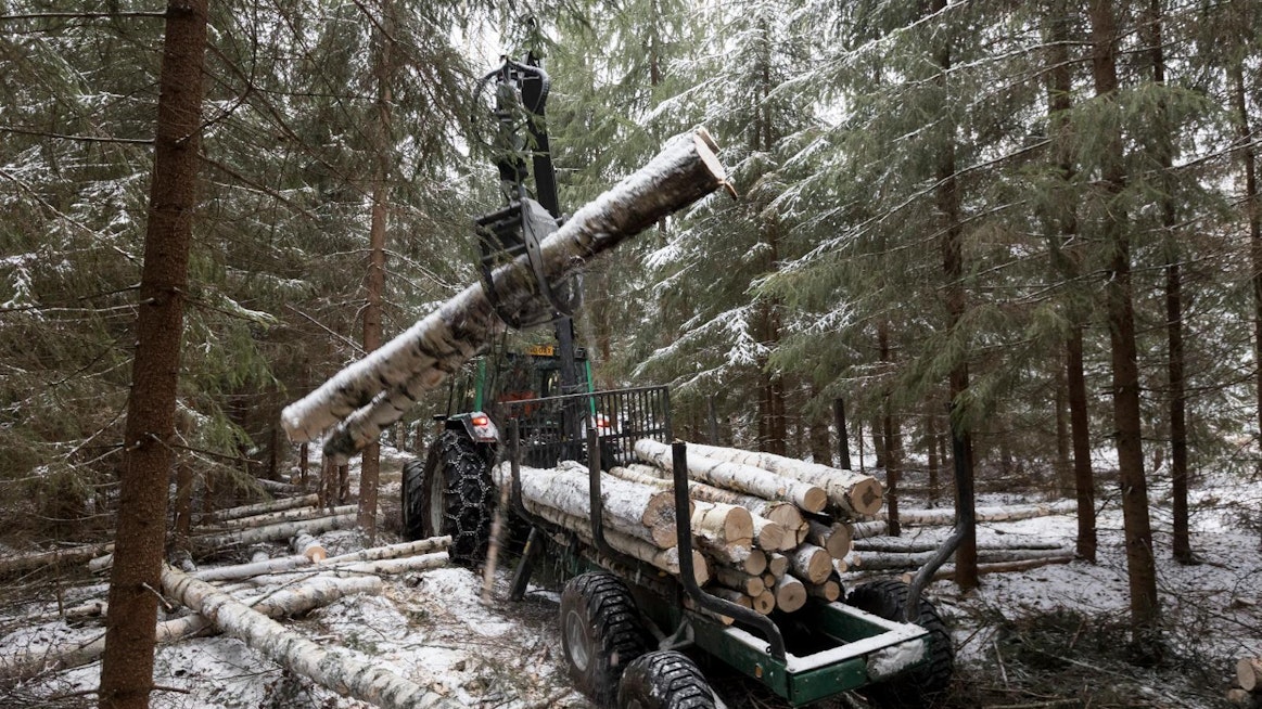 Matti Äijö urakoi tammikuun metsänhoitovideolla ylispuiden korjuussa.