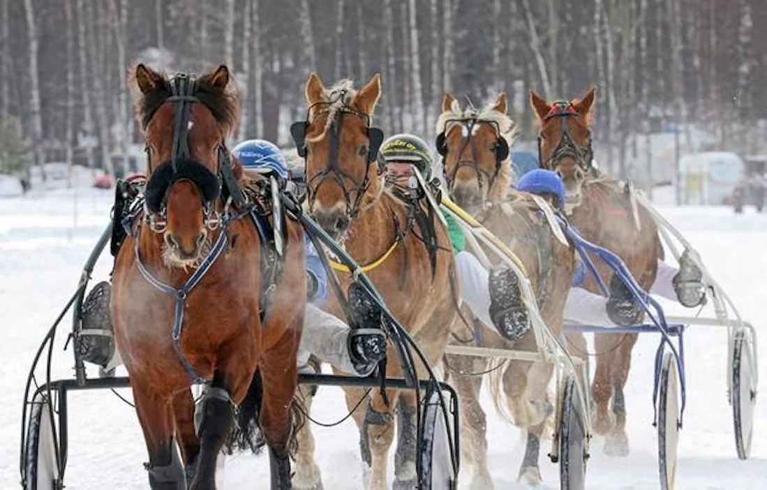 Tämän talven jääravien järjestämistä on vaikeuttanut ensin korona ja nyt sään lauhtumisesta ja vesisateesta johtuvat olosuhteet.