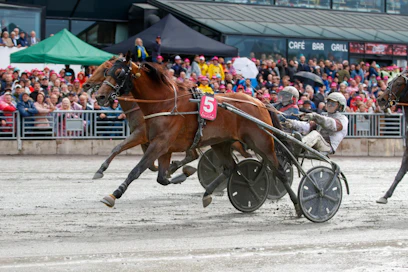 Edellisen kerran Elitloppet on ravattu suuren yleisön edessä toukokuussa 2019. Silloin voittoon juoksi ranskalaisvieras Dijon.