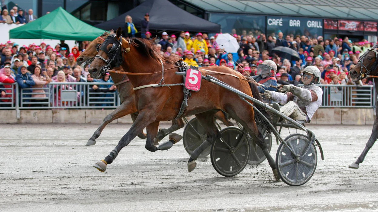 Edellisen kerran Elitloppet on ravattu suuren yleisön edessä toukokuussa 2019. Silloin voittoon juoksi ranskalaisvieras Dijon.