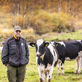 Jyrki Peltola on harkinnut viljantuottajaksi siirtymistä, sillä maidon kannattavuus on valunut pahasti pakkasen puolelle.