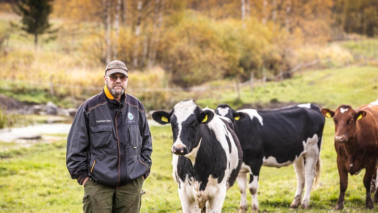 Jyrki Peltola on harkinnut viljantuottajaksi siirtymistä, sillä maidon kannattavuus on valunut pahasti pakkasen puolelle.