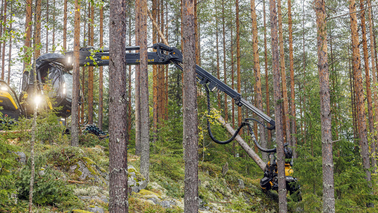 Puusta valmistettujen uusiutuvien tuotteiden kysyntä on maailmalla kovassa kasvussa, mikä enteilee hakkuiden kasvattamista siellä missä se on mahdollista.