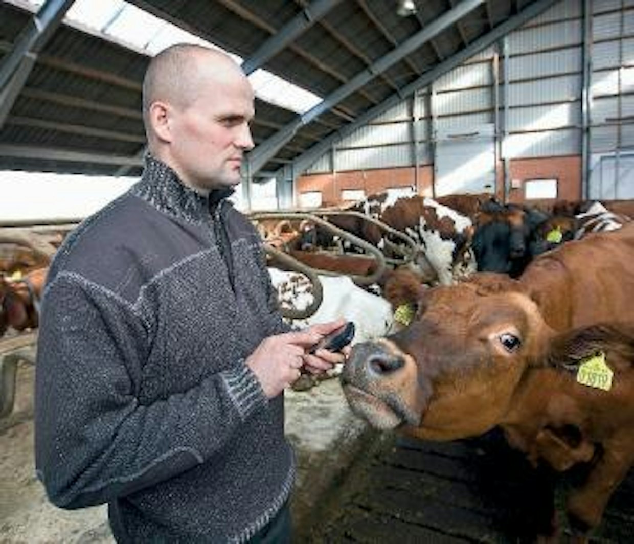 Lehmien liikkeiden jatkuva tarkkailu navetassa ja siihen liittyvä lehmien rehunkäyttöä, terveyttä ja kiimankiertoa seuraava ja analysoiva ohjelma muodostavat Aage Hindheden esittelemän CowDetect-järjestelmän.