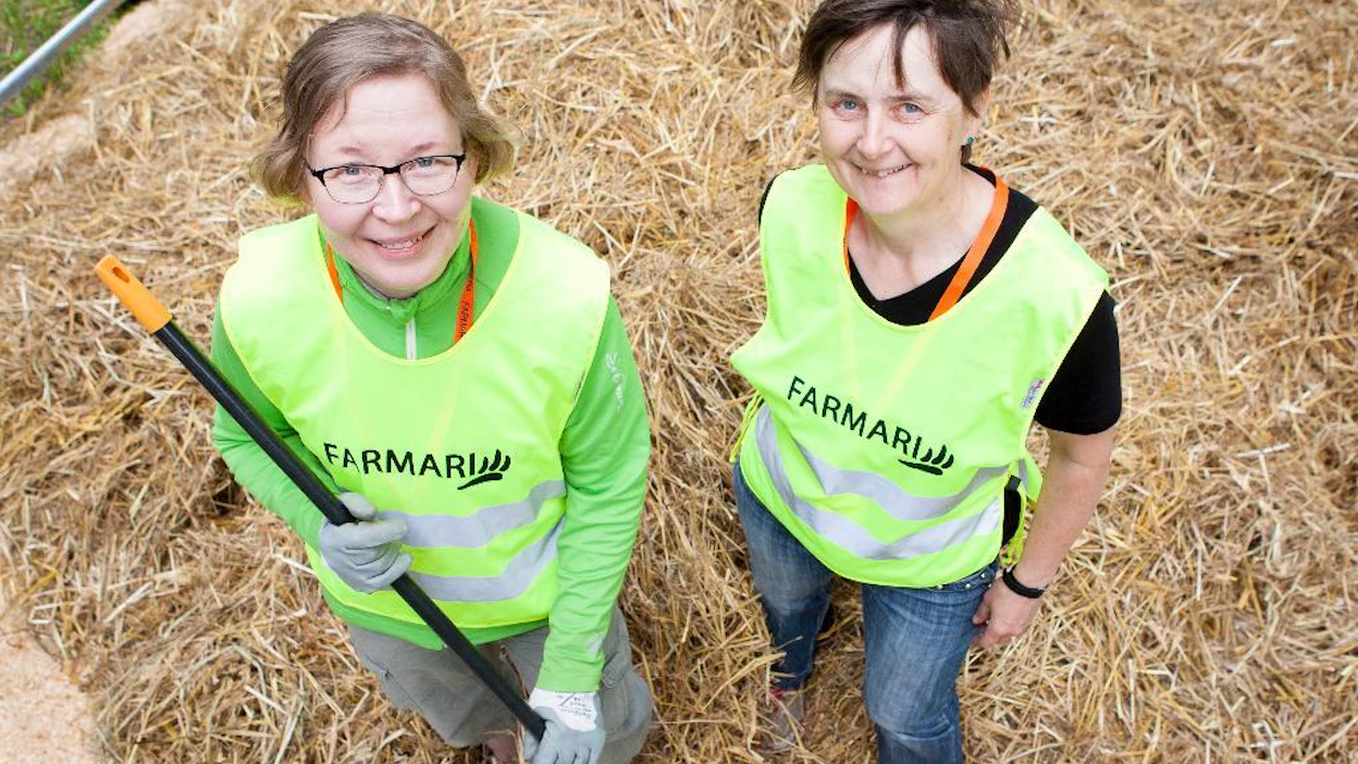 Luomuneuvoja Ulla Turunen Joensuusta ja lihakarjaan erikoistunut Outi Kiesilä Mikkelistä valmistelivat tiistaina lihakarjan aitauksia. Naiset laskeskelivat, että lihakarjarotuja esillä on viisi.