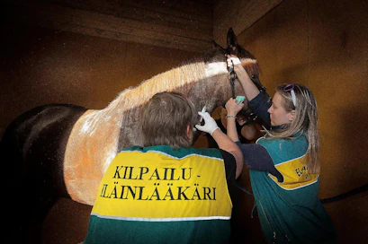 Eläinlääkäri Virpi Ryhänen otti Vieremän kesäraveissa dopingnäytettä Veera Jonnisen avustamana. Raveissa arvotaan ennalta, minkä lähtöjen voittajat testataan.  Hevosen edustaja seuraa näytteenoton vierestä ja varmentaa, että kaikkien näyteputkien sisältö ja virtsanäytteet on otettu hänen hevosestaan.