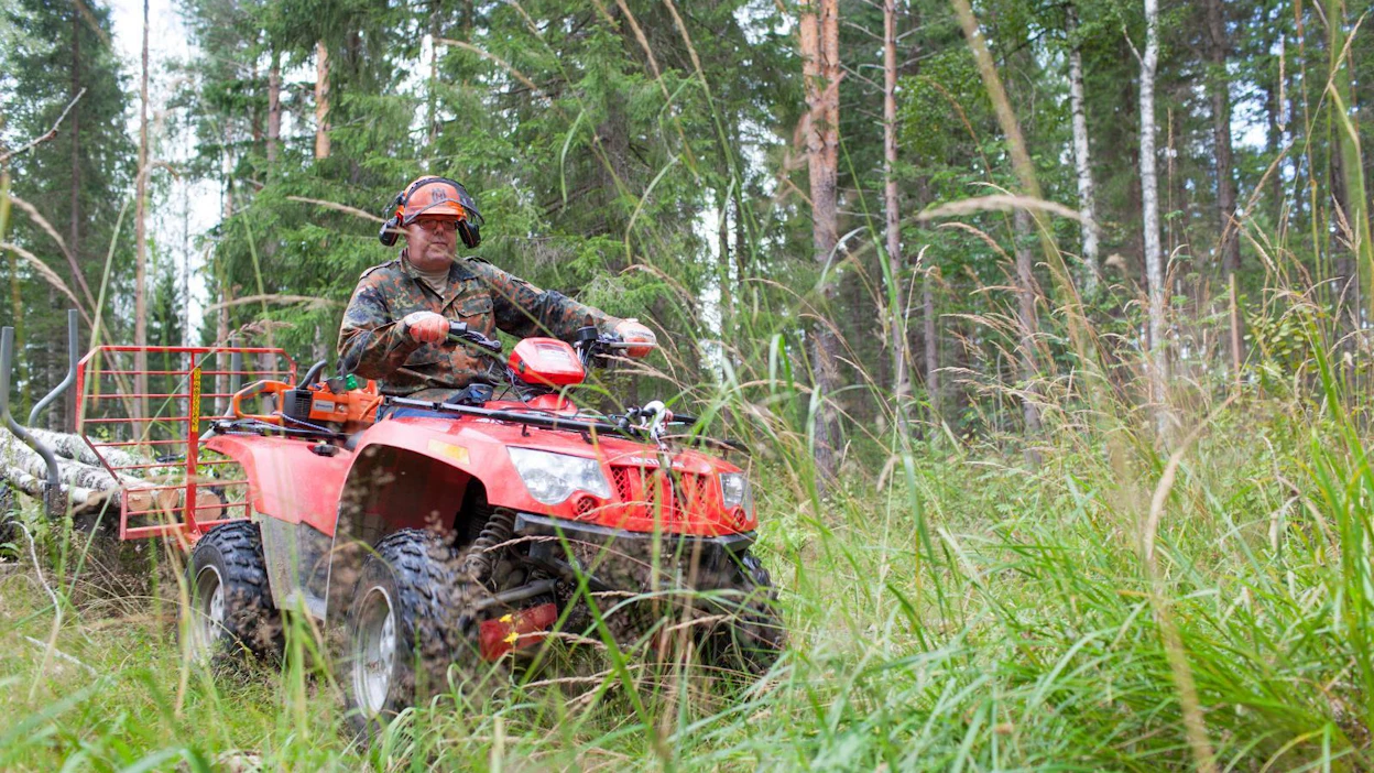 Sekametsässä vara parempi, uskotaan sekametsistä jo tehtyjen tutkimusten valossa. Uudessa pitkäkestoisessa Sekava-tutkimuksessa haetaan tarkempaa tietoa. Kuvituskuva.
