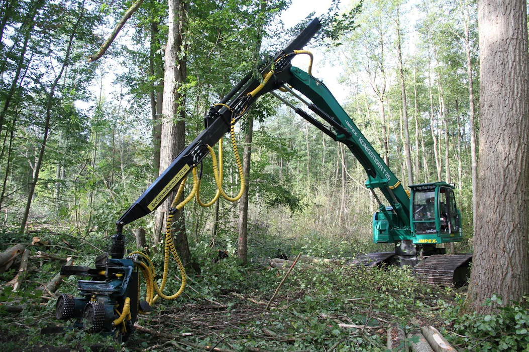 Keski-Euroopassa vastaan tulee monenlaisia metsäkoneita, kuten tela-alustaisia hakkuukoneita. Ne ovat kuitenkin suuremmassa mittakaavassa käytössä vain muutamassa maassa.