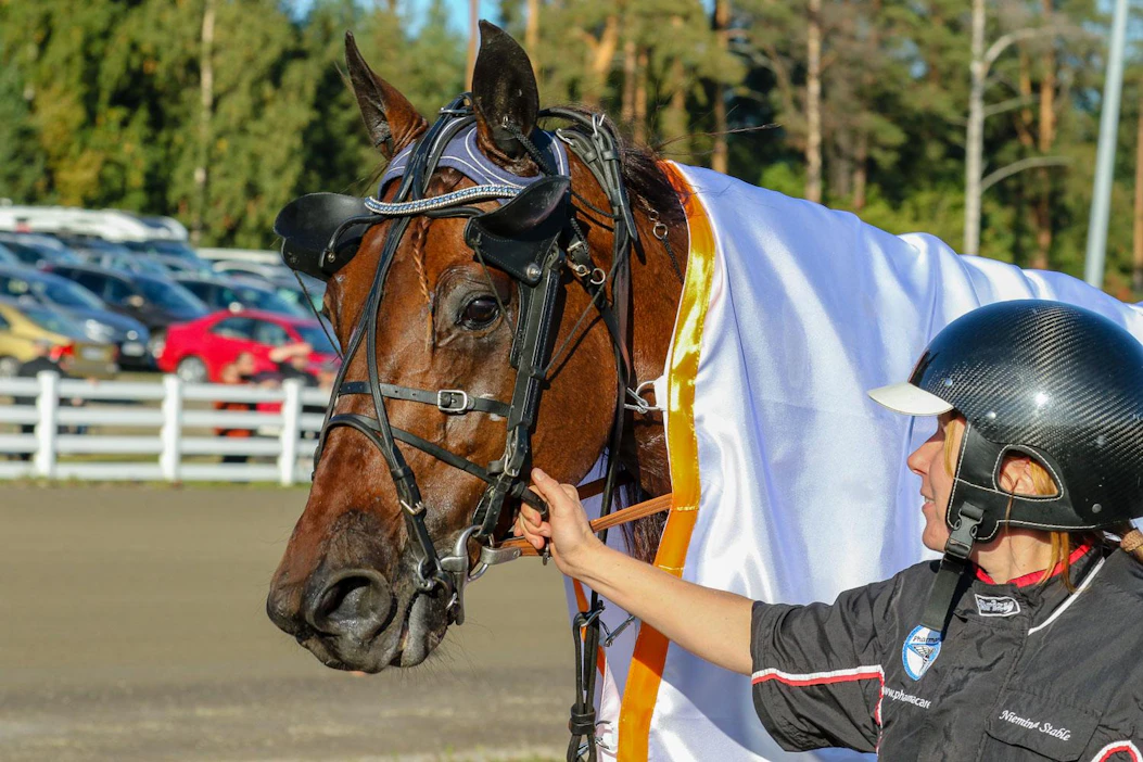 Suvi Himangan silmäterä Bret Boko voitti lauantaina Oulussa ja jatkaa keskiviikkona 65-kierroksella suursuosikkina.