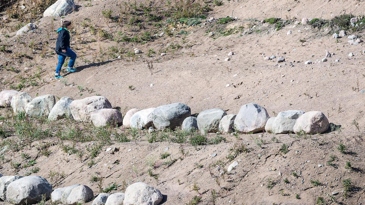 Vaatimattomien mättäiden siirtäminen soramonttuun vaati mittavan byrokratian ja monien tahojen yhteistyön.