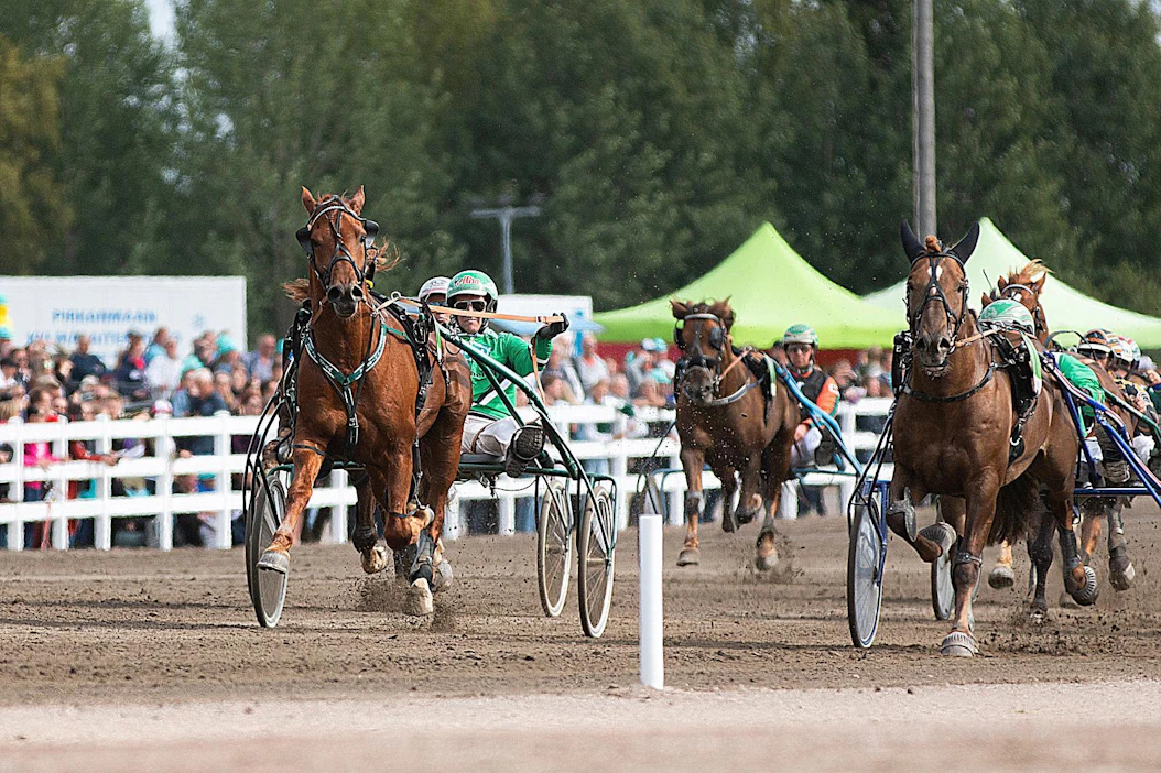 Lissun Eerikki eli Erkki on kehittynyt vuosi vuodelta ja yllättänyt omistajansa yhä uudelleen. Kuvassa Lissun Eerikki voitti Lahden kuninkuusraveissa 2019 avoimen ryhmän suvereeniin tyyliin.