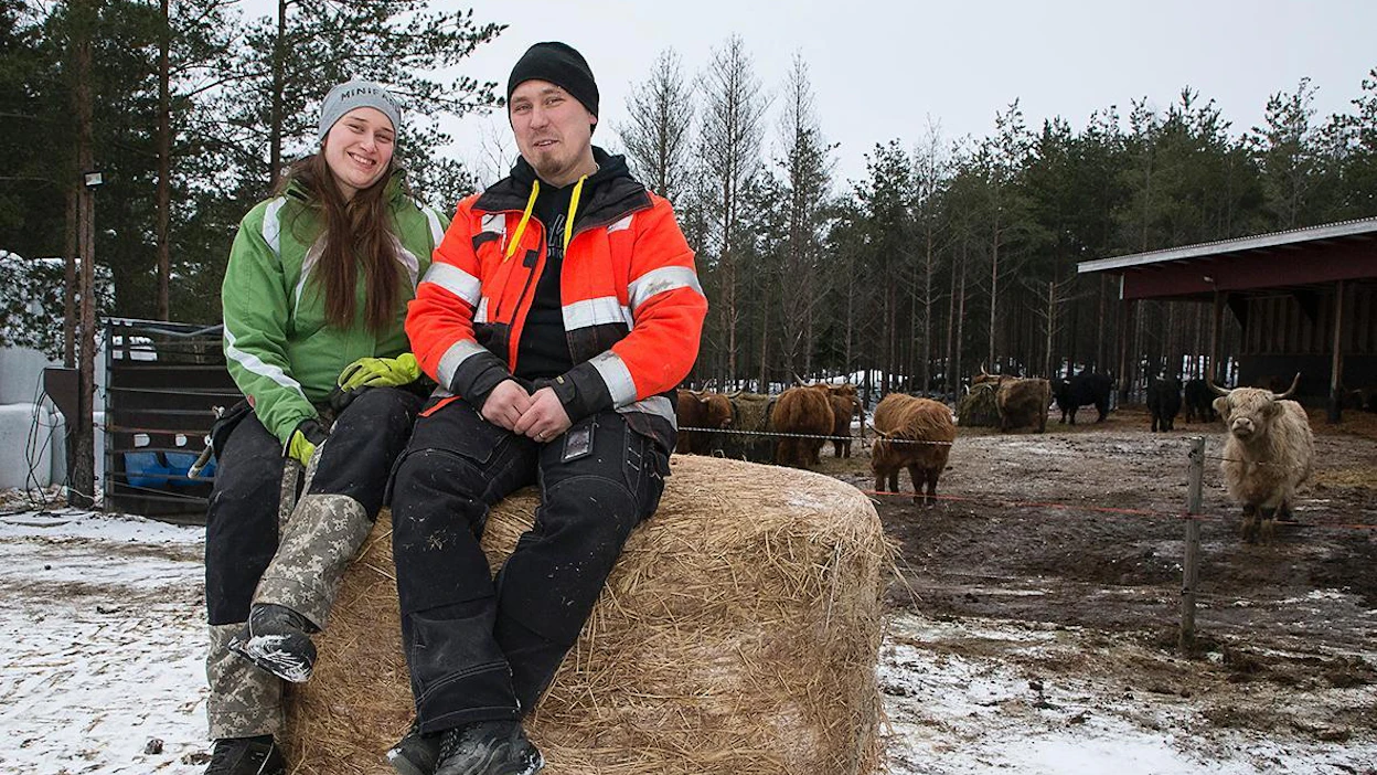 Karjaa hoidetaan yhdessä, sillä kaverista on apua aitojen avaamisessa ja paalien siirroissa, Katri ja Aki Vuori kertovat.
