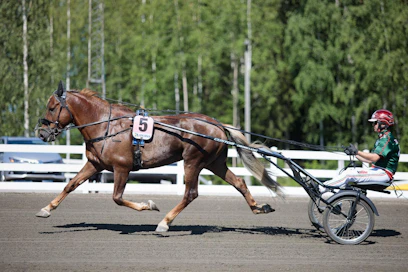 Parvelan Retu on 60 metrin takamatkaltakin Kuusivuotiskunkun ykkössuosikki, vaikka saakin taas vastaansa Stallonen.