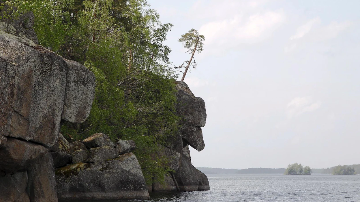 Ympäristöjärjestöt pelkäävät, että Metsähallituksen metsätalouden yhtiöittäminen muuttaa kansalaisomaisuutena pidetyt rannat ja vedet kauppatavaraksi.