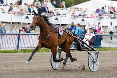 Lämminveristen SM on yksi derbylauantain huippukohdista. Mestaruudesta taistelee hurja joukko, mukana muun muassa Suomea Elitloppetissa ja kuvan Kymi GP:ssäkin kunniakkaasti edustanut Next Direction.