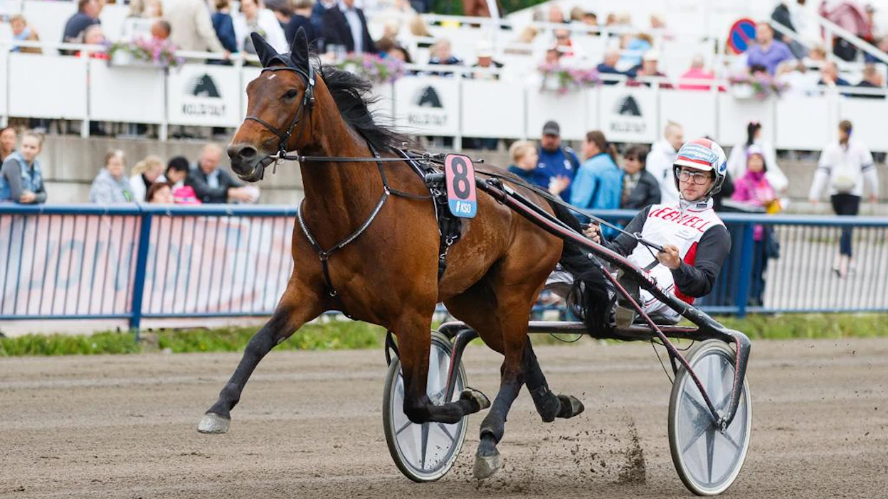 Lämminveristen SM on yksi derbylauantain huippukohdista. Mestaruudesta taistelee hurja joukko, mukana muun muassa Suomea Elitloppetissa ja kuvan Kymi GP:ssäkin kunniakkaasti edustanut Next Direction.