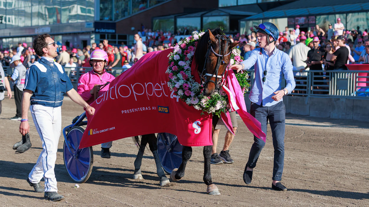 Elitloppet-voittaja Horsy Dream juhli myös Åby World Grand Prix -lähdön voittajakehässä.