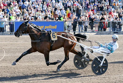 Propulsion (tässä arkistokuvassa 2016 Finlandia-ajon voitossaan) ja Örjan Kihlström ovat ykkösiä, kävi miten kävi? Pariisin UET Trotting Mastersin dramaattisten vaiheiden jälkeenkin ruotsalaisori oli ensimmäisenä maalissa.