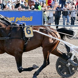 Propulsion ehti kilpaurallaan voittaa lukuisia suurkilpailuja. Kuvassa Örjan Kihlström laskettelee sillä Finlandia-ajon voittoon vuonna 2016.
