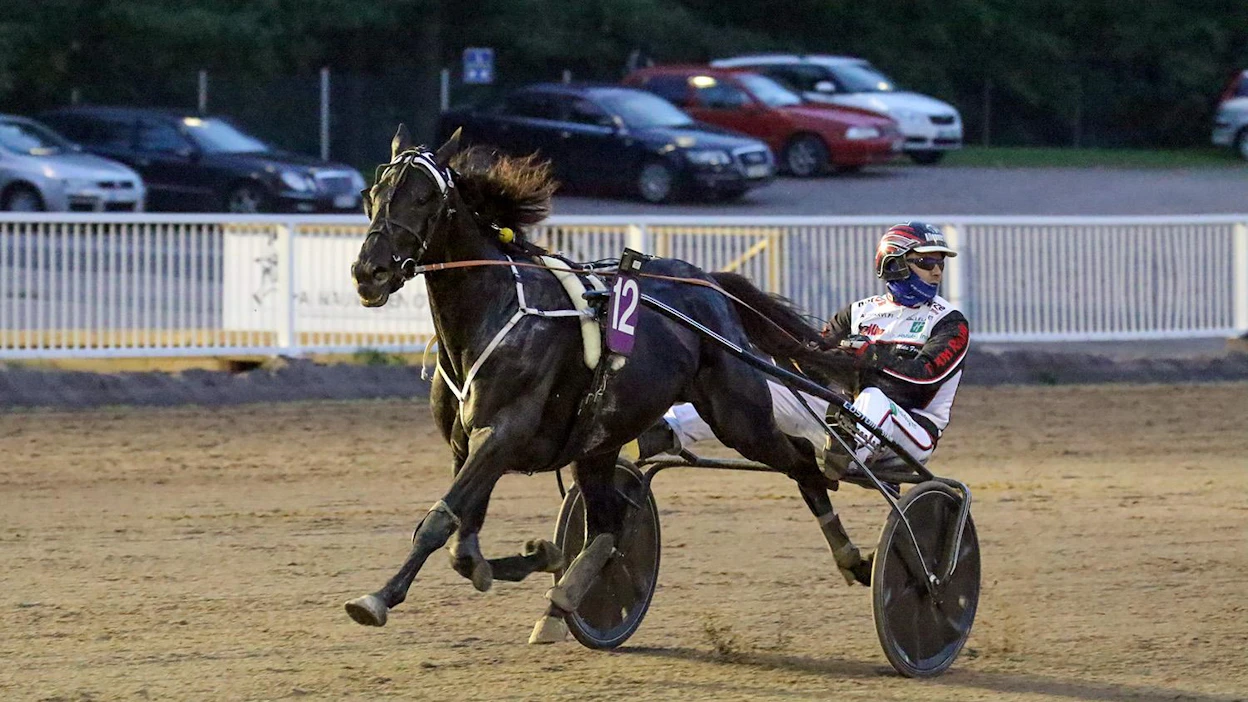 Hotshot Luca on Oulu Express-ravien, 76-finaalien ja myös Ravinetin T76-vihjeen avainhevonen.