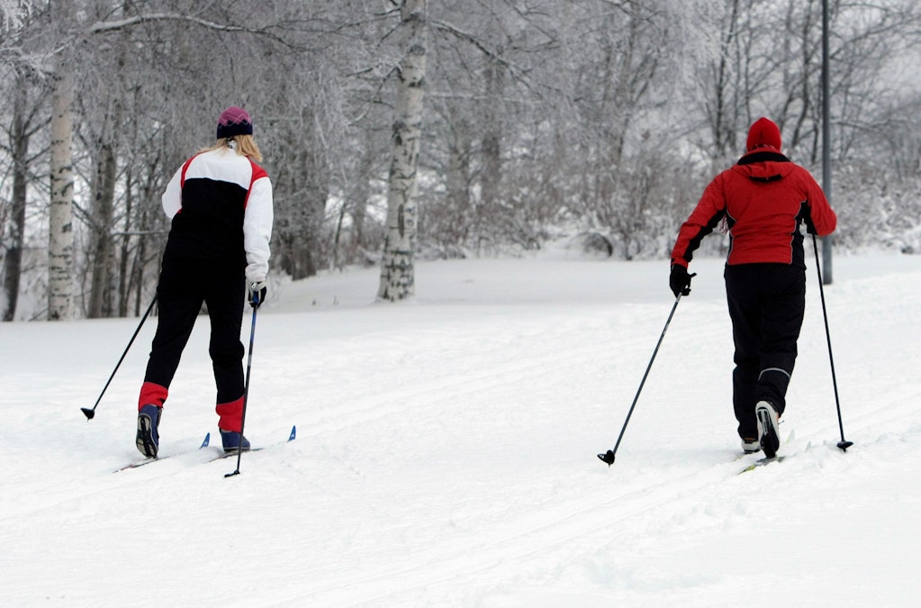 Suomen Latu julkaisi latuetiketin laturaivon vähentämiseksi: ”Kaikki  hiihtäjät on hyväksyttävä” - MT Metsä - Maaseudun Tulevaisuus