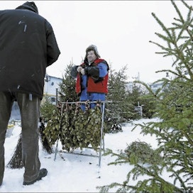 Kuusikauppias Ari Perätalo arvioi joulun alla, että kuusikauppa kävi Oulun seudulla normaalisti.  Pekka Fali