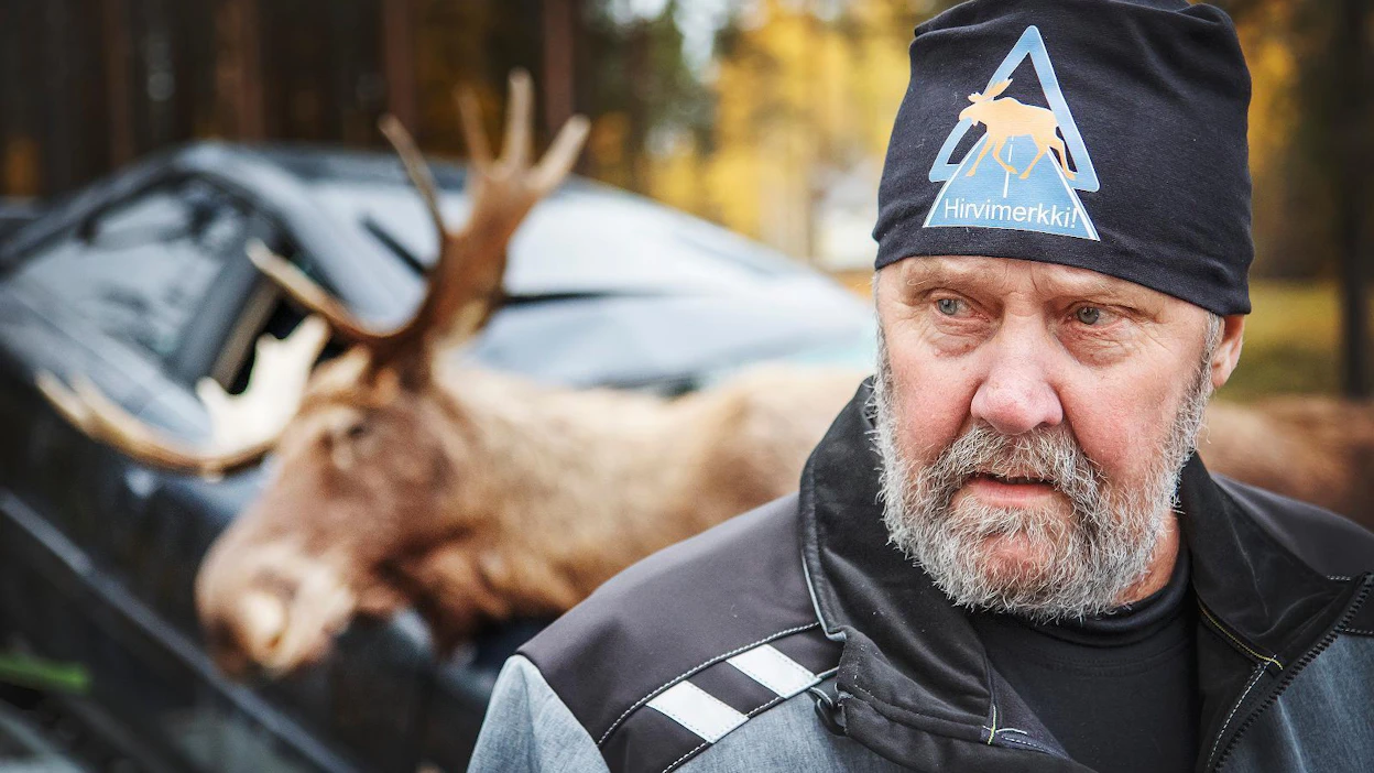 Autoilijoiden kouluttamisen hirvi- ja muissa riistaeläinkolareissa toimimiseen pitäisi alkaa jo autokouluissa, kannustaa kiteeläinen Reijo Jumppanen, Hirvimerkki!-kampanjan ideoinut pitkän linjan metsästäjä.
