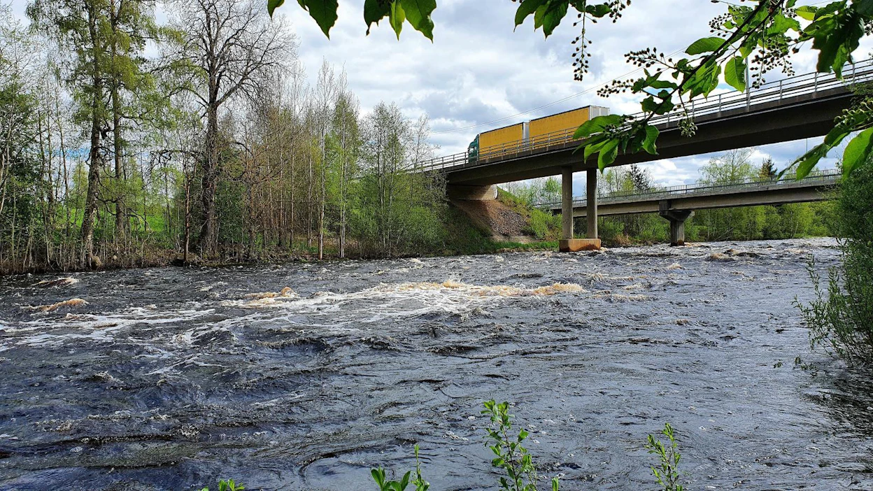 Maa- ja metsätalousministeriön käynnistämä Nousu-ohjelma parantaa vaelluskalojen elinolosuhteita ja pyrkii palauttamaan vaelluskalakantojen luontaista lisääntymistä Suomen virtavesissä. Arkistokuvassa Perhonjoki virtaa Pappilankosken sillan luona.
