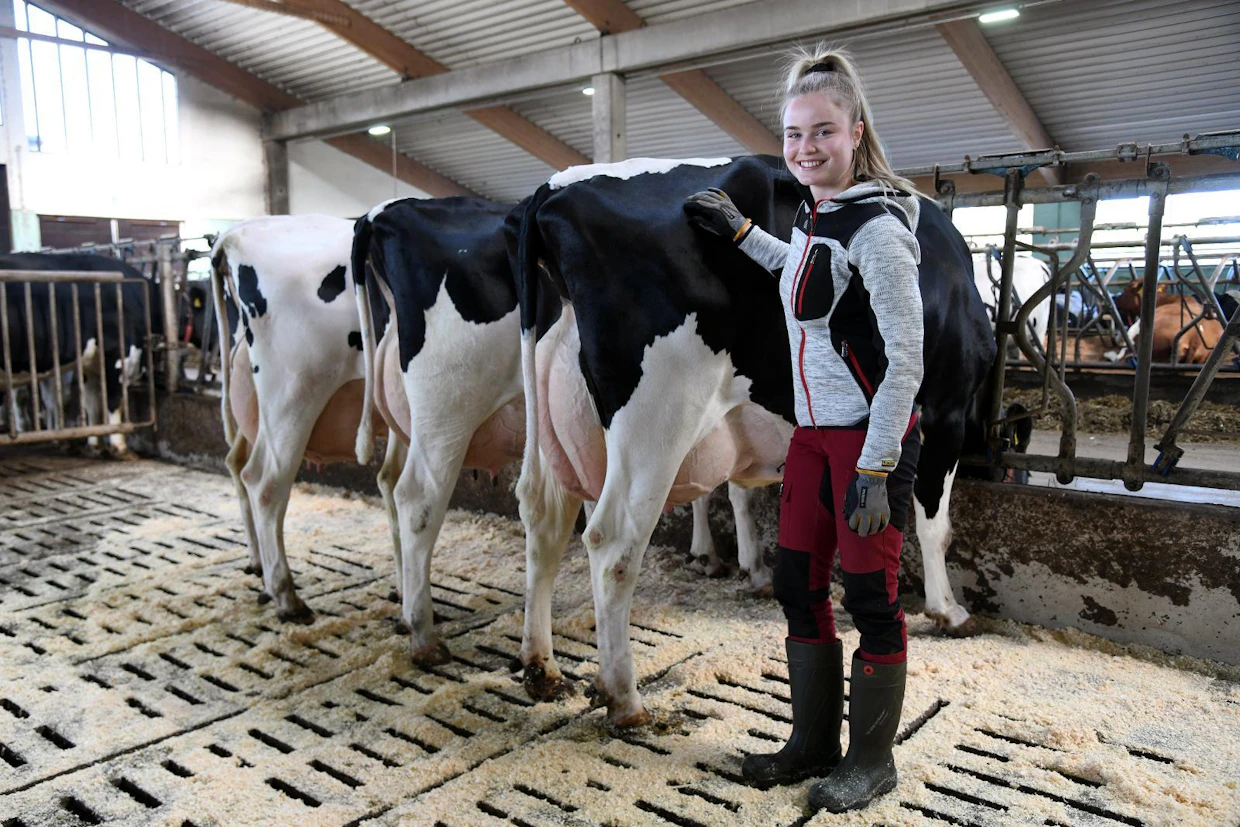 Iida valitsi virtuaaliseen Holsteins on Farm- näyttelyyn yhteensä 11 lehmää, joista kahdeksan jalasjärvisen Koskenojan tilalla ja kolme hänen omalta kotitilaltaan Humppilasta.