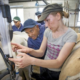 Sini Saramo selostaa maitomittarin toimintaa Tamiru Negeralle. Kimmo Haimi