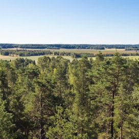 Porkkalan saaristo- ja viljelymaisema Kirkkonummella Uudellamaalla on ehdolla valtakunnallisesti arvokkaaksi maisema-alueeksi.
