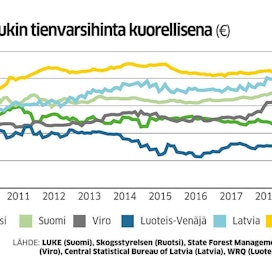 Saksassa kuusitukki oli pitkään Suomea kalliimpaa. Hyönteistuhot ovat pudottaneet hintaa, mikä vaikeuttaa suomalaisen sahatavaran vientiä Keski-Eurooppaan ja muuallekin.