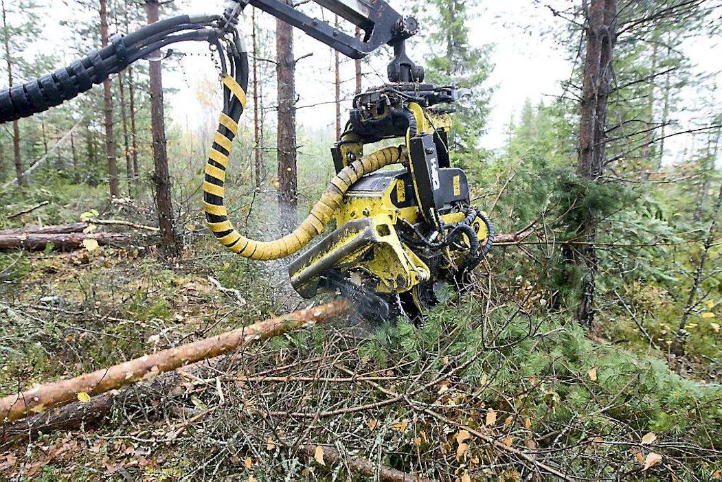 Ainespuun ja energiapuun korjuu harvennushakkuu metsänhoito hakkuu moto monitoimikone hakkuukone