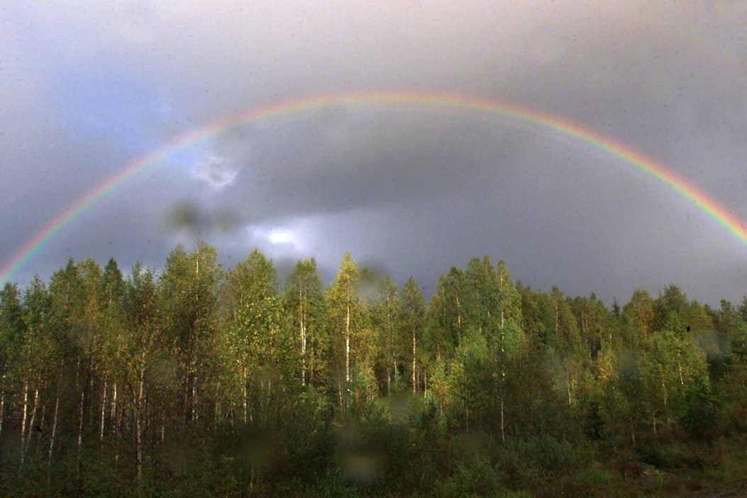Mikäli sää on leutoa ja sataa vettä, sateenkaaria voidaan havaita myös talvisin.