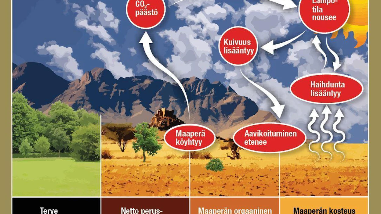 Havainnollinen graafi näyttää, miten viherpeitteisistä pelloista ja metsistä ei haihdu hiilidioksidia eikä vesihöyryä. Maan huono hoito sen sijaan aiheuttaa tuottavuuden ja multavuuden laskua, sekä lisää kaikkien kasvuhuonekaasujen määrää. Haihtuva vesi on aina pois maan vesivarannosta ja laskee näin satoja entisestään.