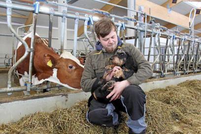 Aatu Korpi sanoo olevansa monessa mielessä onnekas maajussi. "Minulla on ympärilläni vahva tukiverkosto, sillä tarvittaessa myös vanhempani ja velipojat osallistuvat tilan töihin."