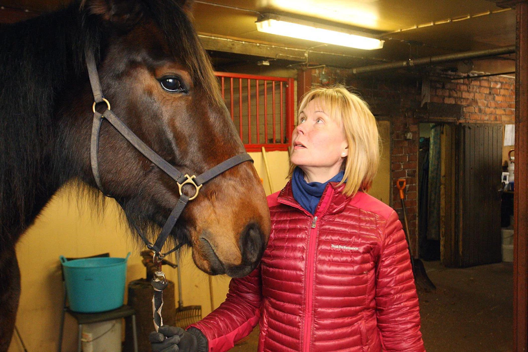 Katja Hautala on myös käytännön hevosharrastaja. Oma kasvatti Papa Corleone voitti kilpaurallaan Christa Packalenin valmennuksessa Pilvenmäki Specialin, ja nyt se on Hautalan perheen sunnuntairatsuna.