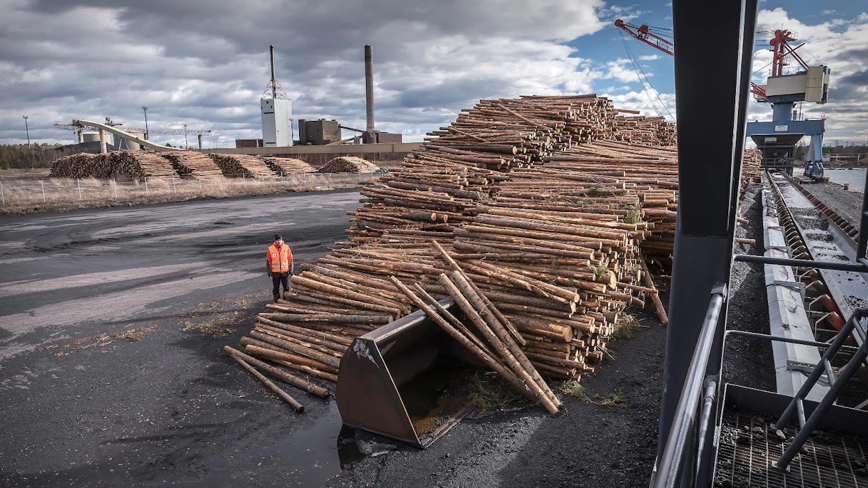 Ensimmäiset puut Kristiinankaupungista Ruotsiin laivattiin huhtikuun alussa. Metsänhoitoyhdistys Österbottenin Jens Helenelund esitteli maaliskuun lopulla Karhusaaren satamaan lastattua kuitupuuvarastoa.