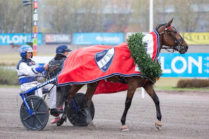 Karkaako Raviliiga-Travliga HIFK:n helmi Mascate Match ison meren taakse? Se nähdään joulukuussa. Seuraavaksi Mascate Match suuntaa Mikkelin sunnuntaiseen Eugen Pylvänäisen Muistoajoon.