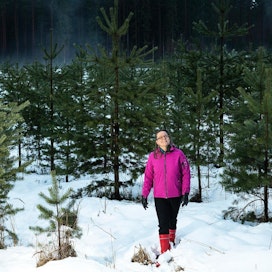 Raisa Mäkipää kävi tammikuussa Luken tutkimusmetsässä Tuusulassa. Tuolloin kunnon talvi ei ollut vielä alkanut ja leuto sää nostatti sumun taimikkoon.