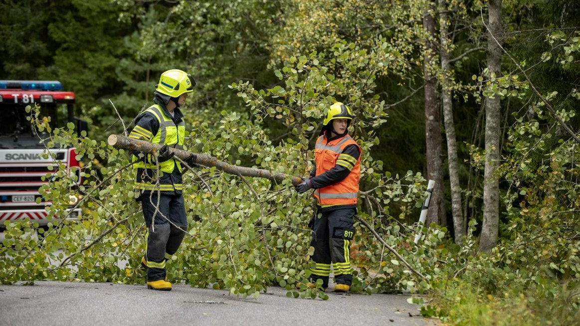 Aila-myrsky kaatoi puita muun muassa teille ja sähkölinjoille. LEHTIKUVA / RONI LEHTI